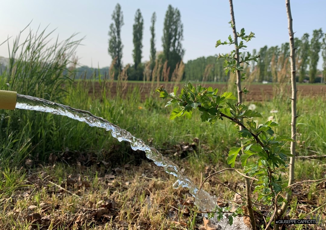 Acqua Albiate 2022