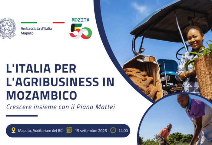 Agribusiness-Mozmbico-per-web