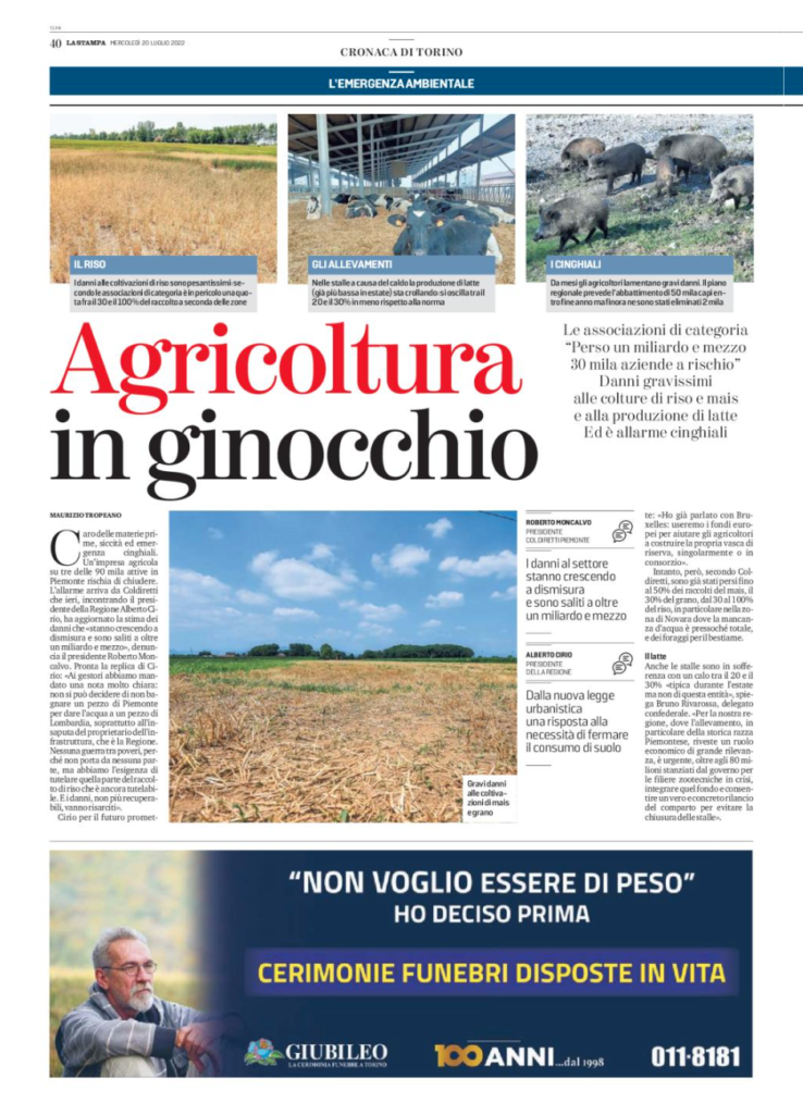 immagine1