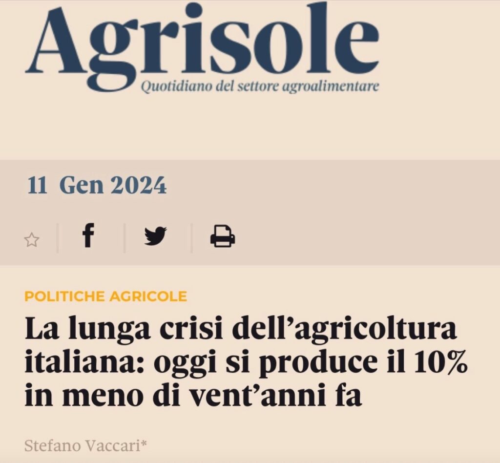immagine1