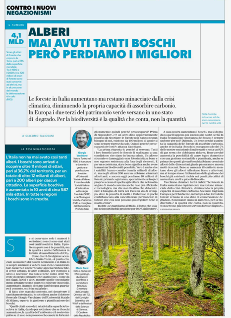 immagine1