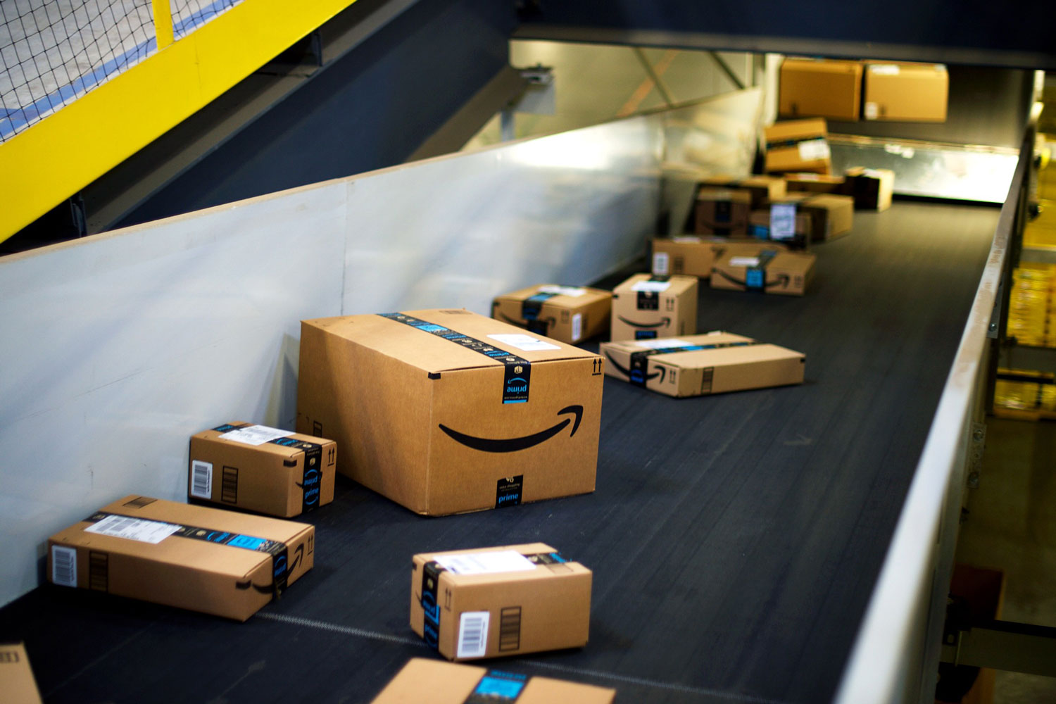 Amazon-02-LT
