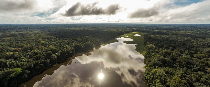 Amazzonia WWF