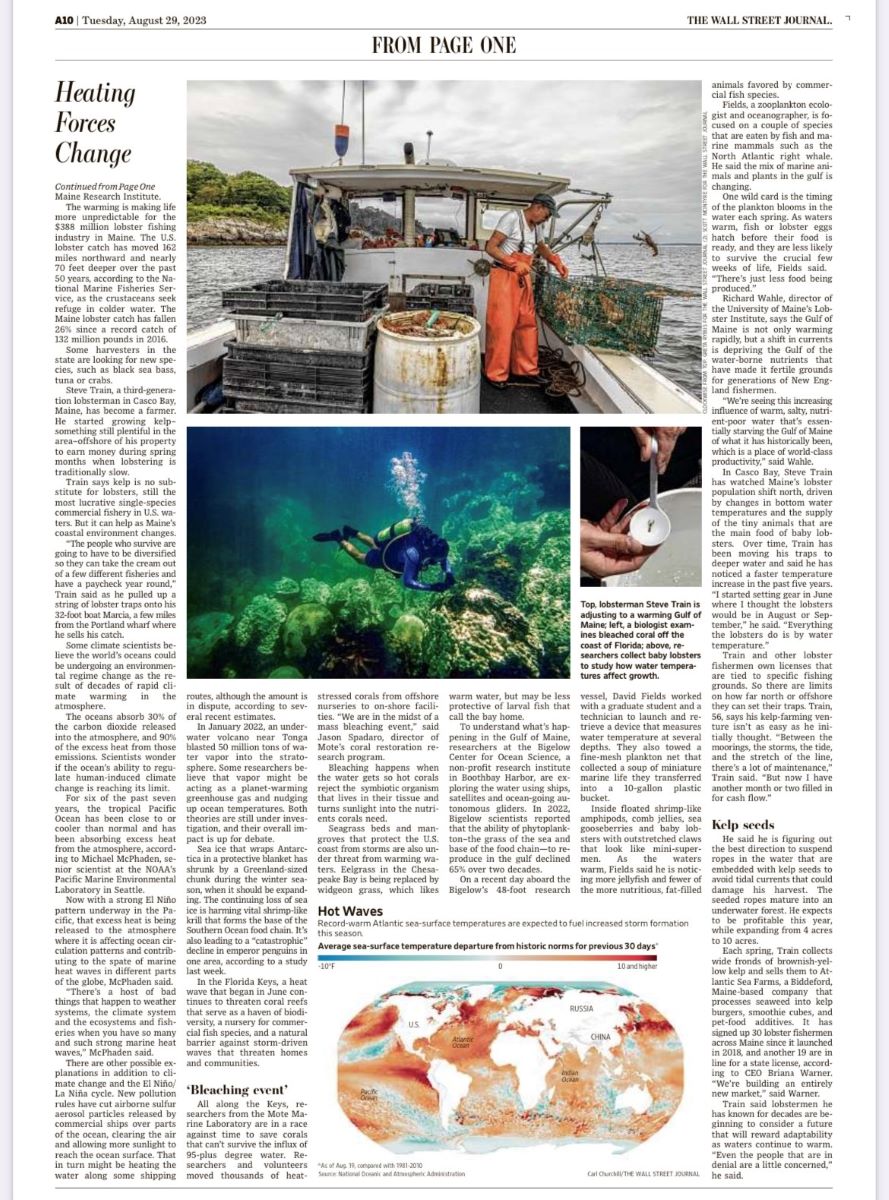 Aragoste Maine WSJ 29 agosto 2023 1