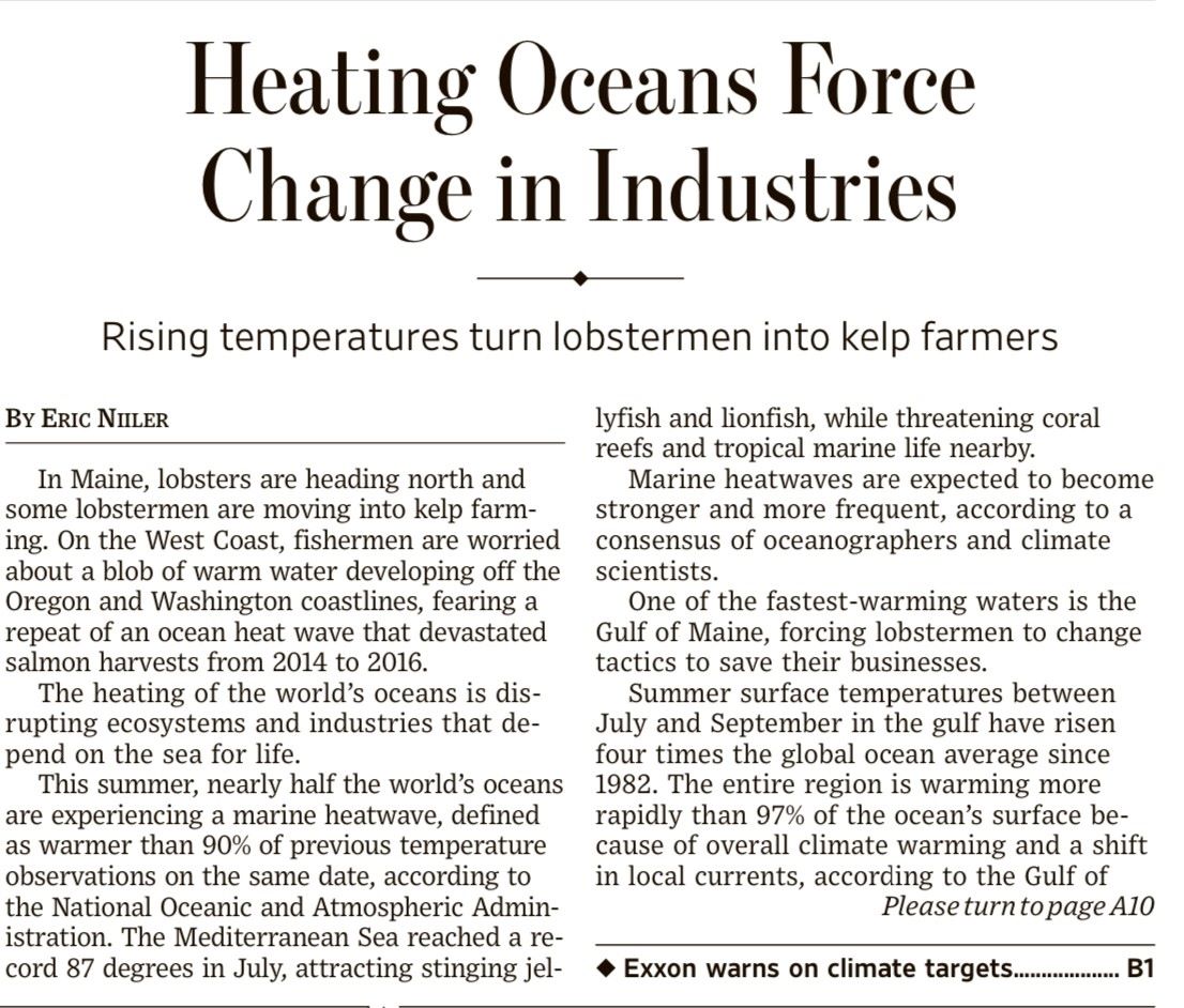 Aragoste Maine WSJ 29 agosto 2023
