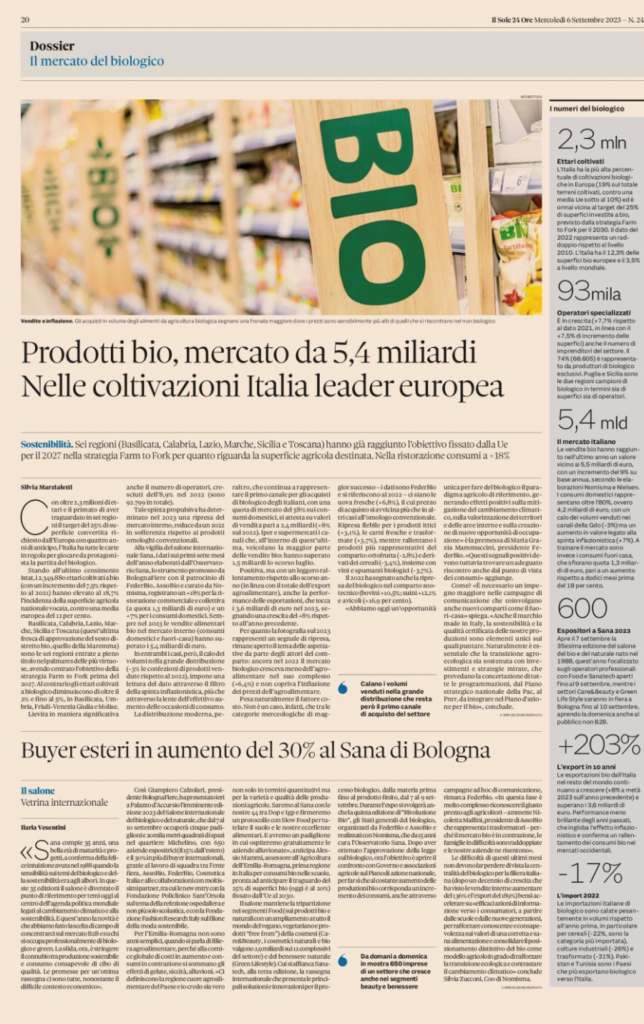 immagine1