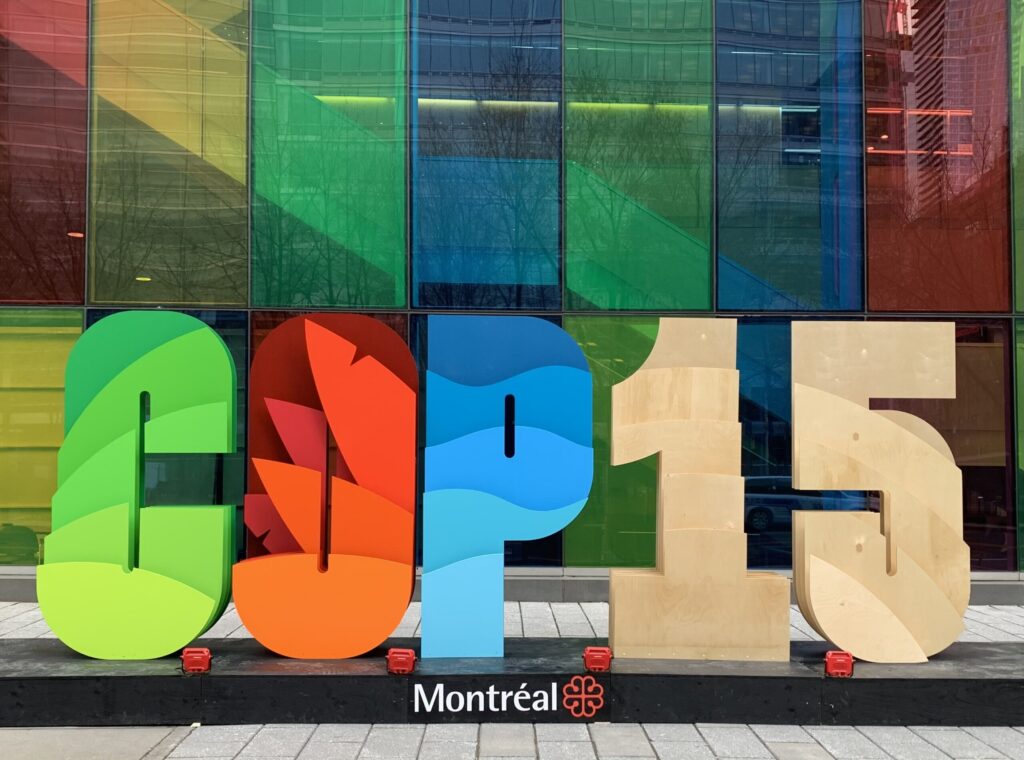 COP 15