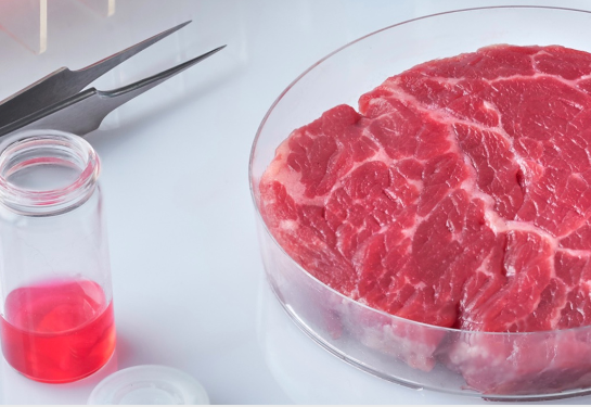 Carne coltivata cover