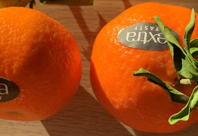 Clementine Extra tasty 1