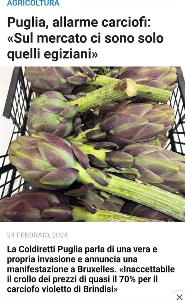 immagine1