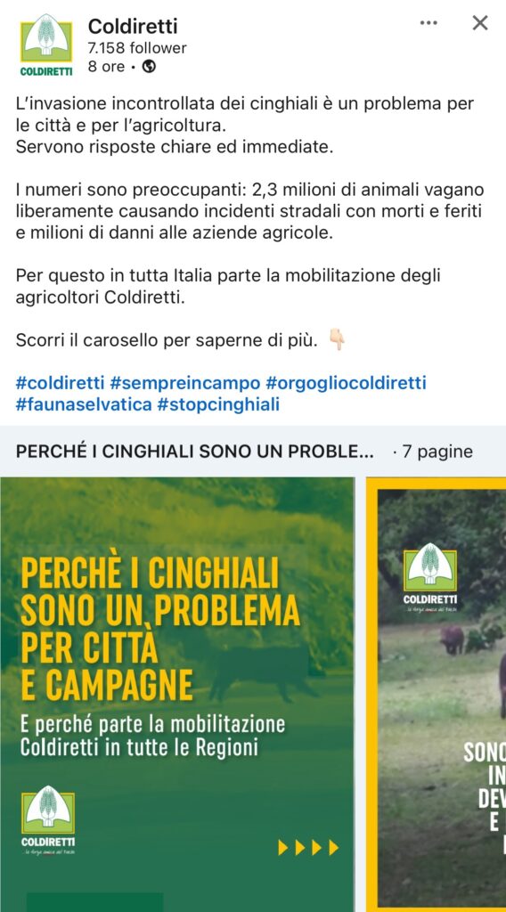 immagine1