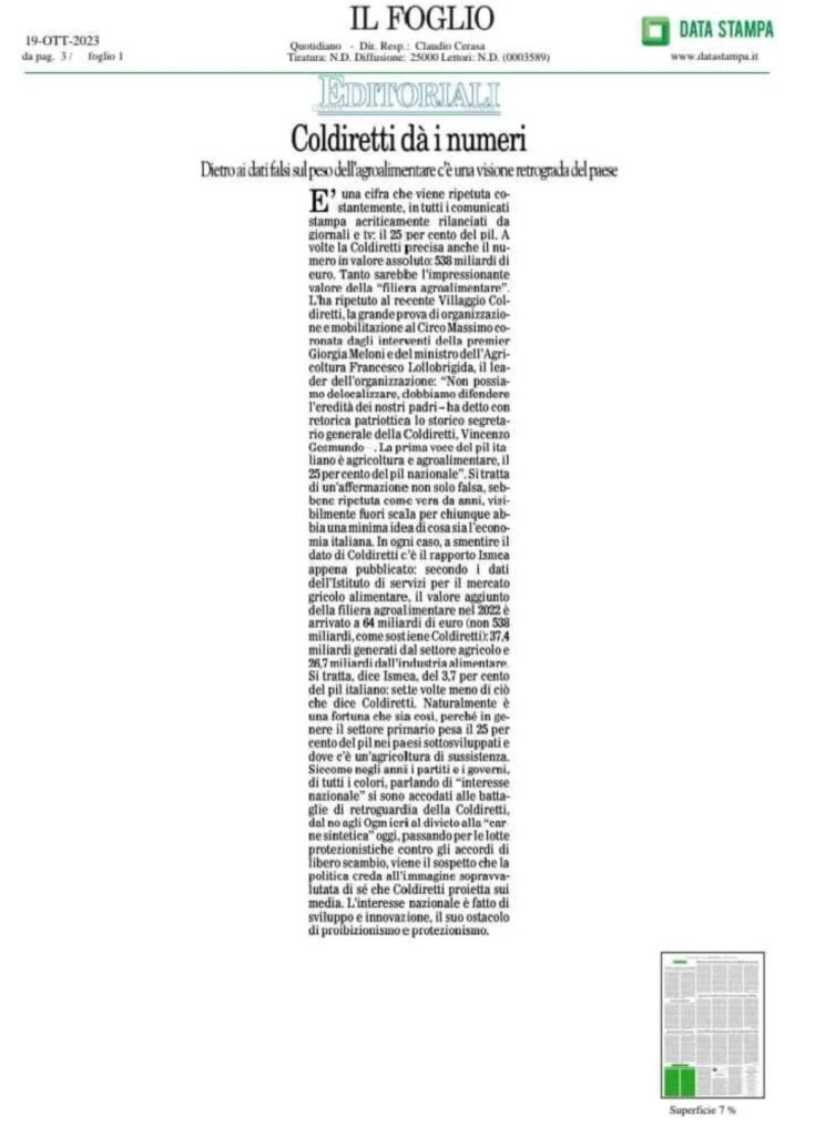 immagine1