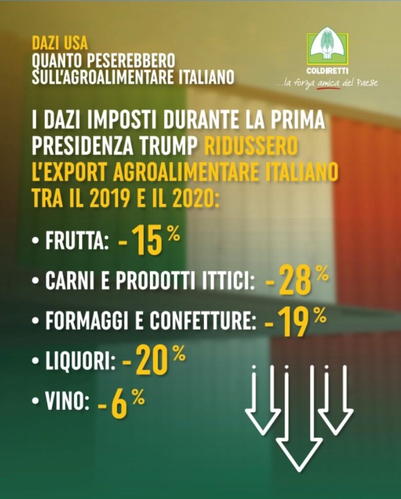 immagine2
