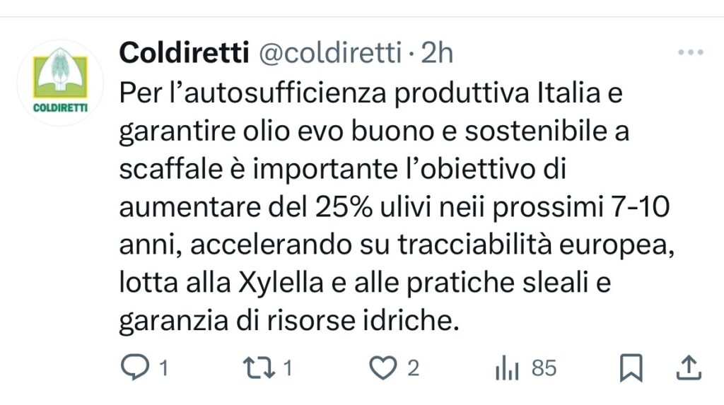 immagine1