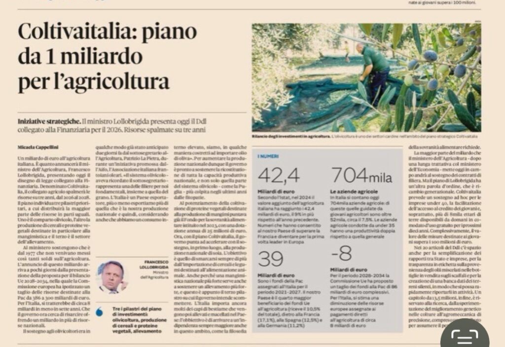 immagine1