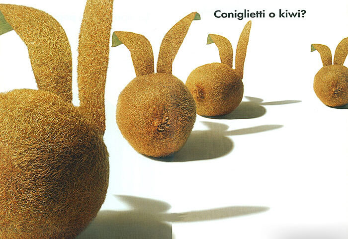 Coniglietti o kiwi