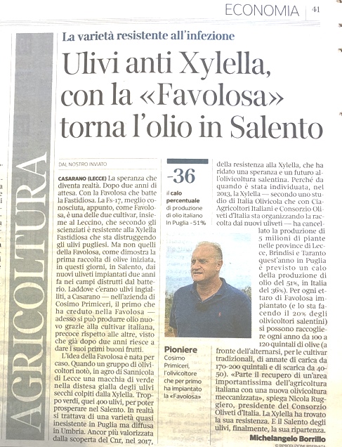 immagine1