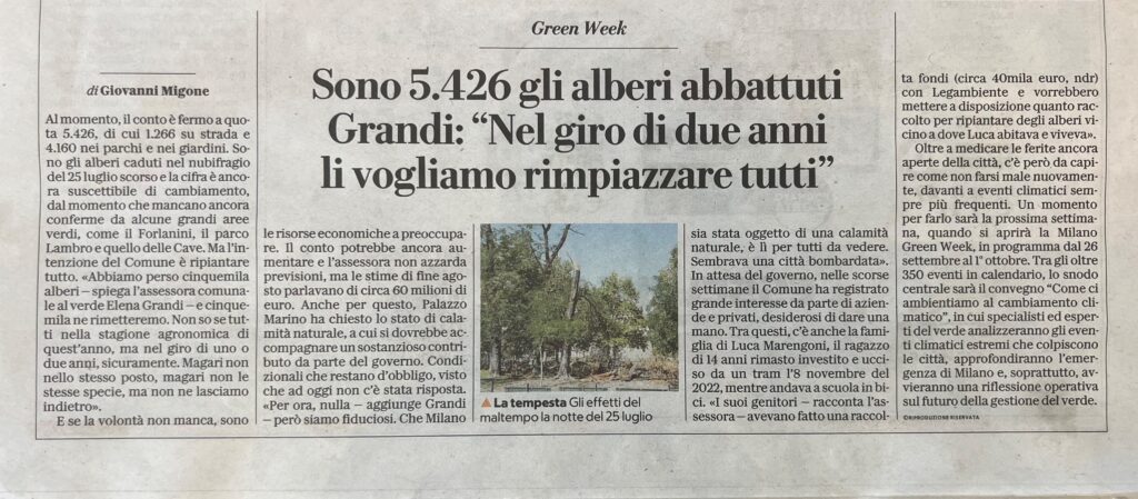 immagine2
