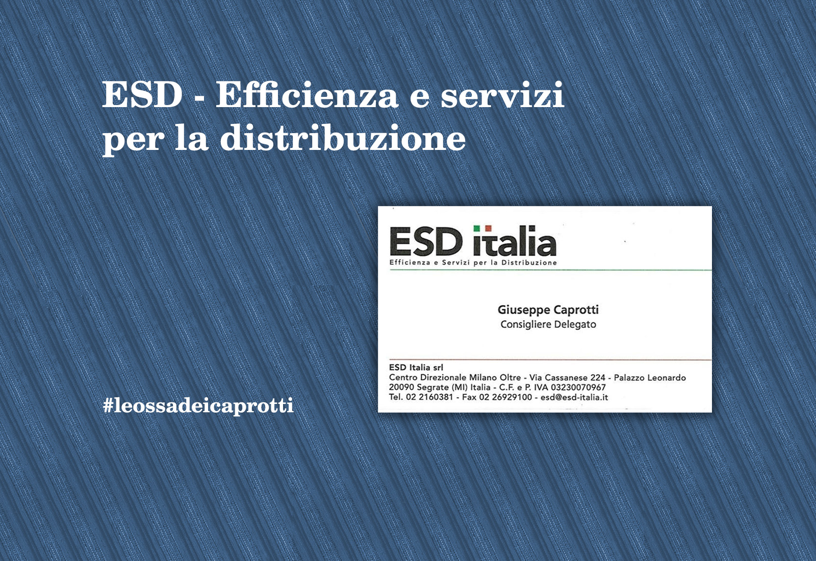 Esd – Efficienza e servizi per la distribuzione