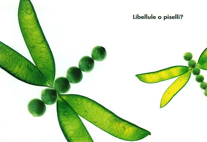 Esselunga libellule