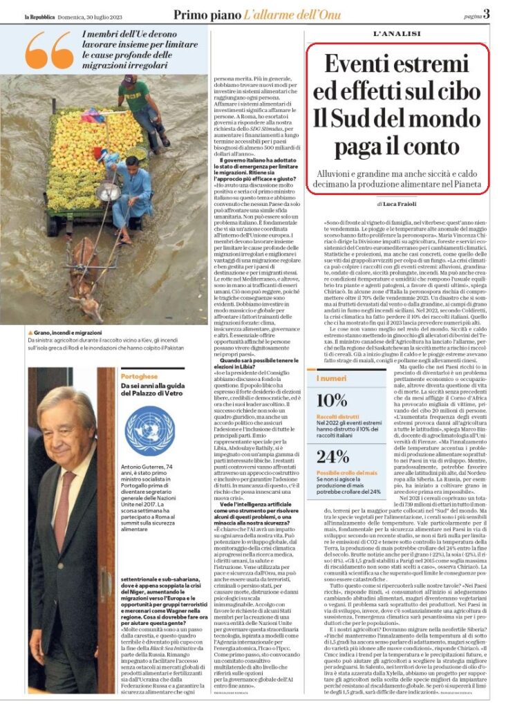 immagine2