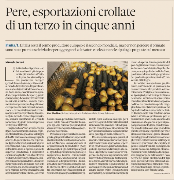 immagine1