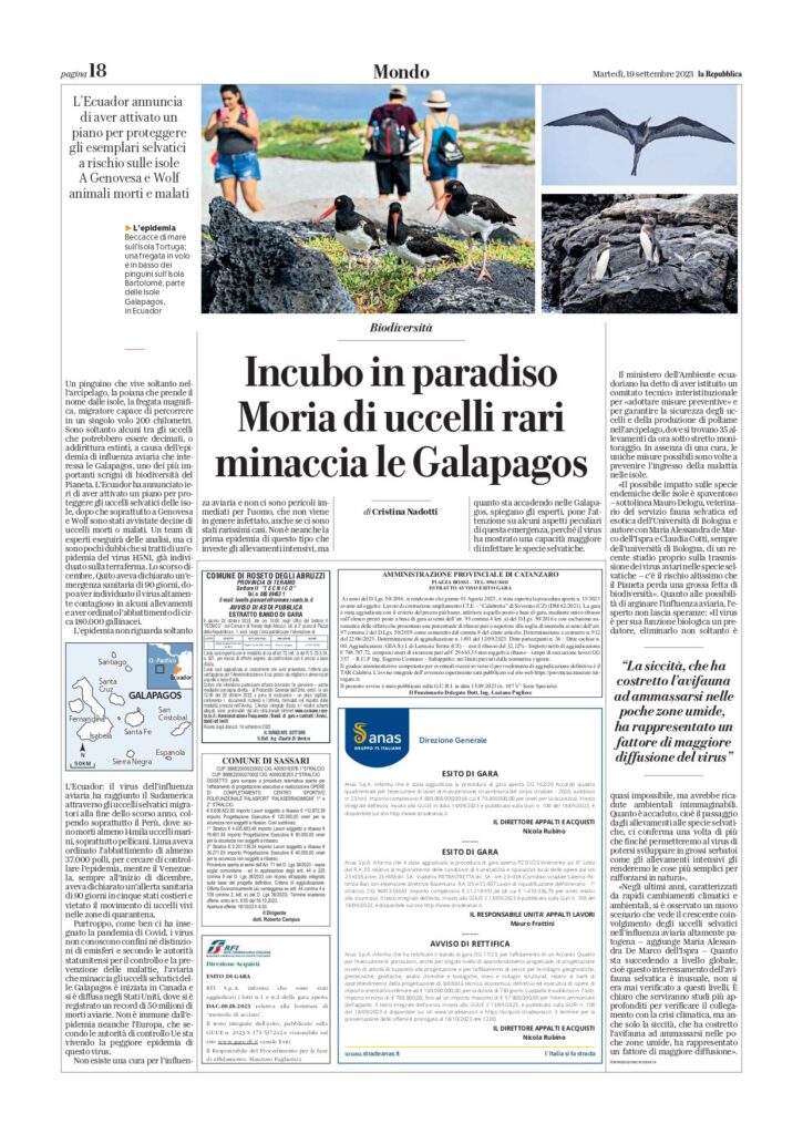 immagine1