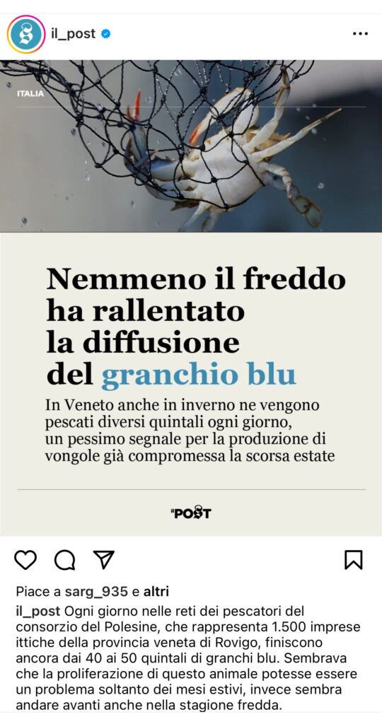 immagine1