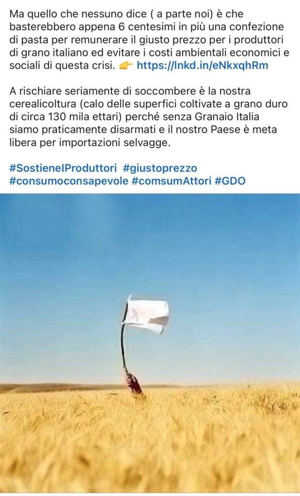 immagine2