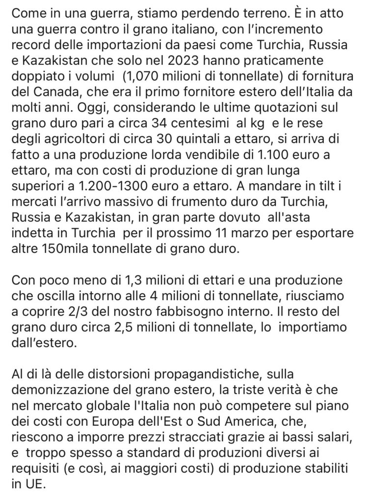 immagine1