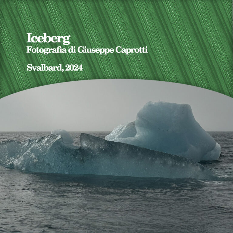 Iceberg