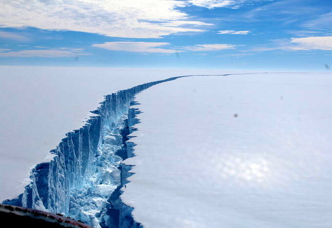 Iceberg Larsen
