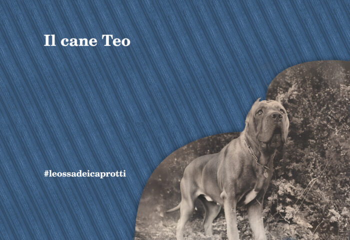 Il Cane Teo