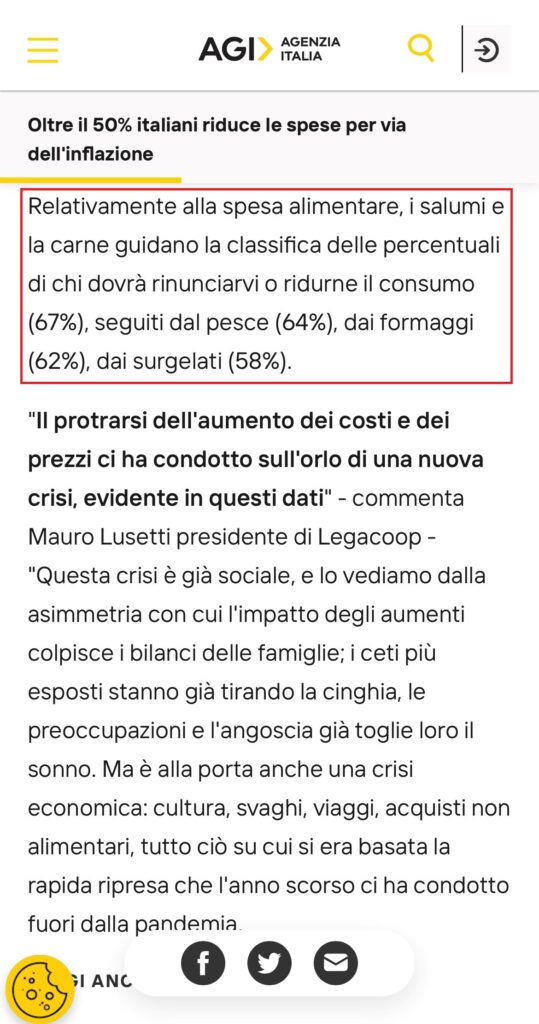 immagine1