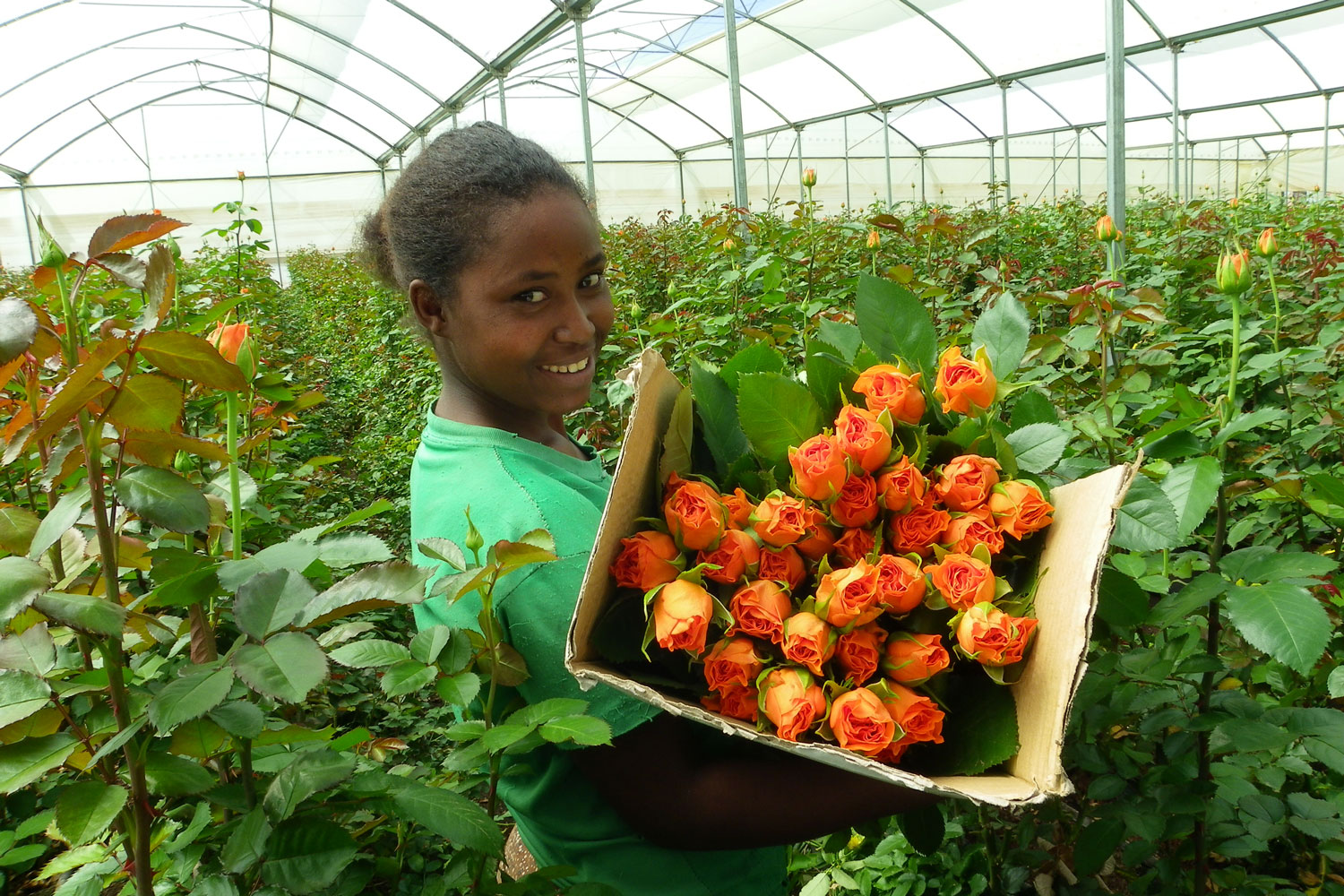 Kenya-Flower-LT
