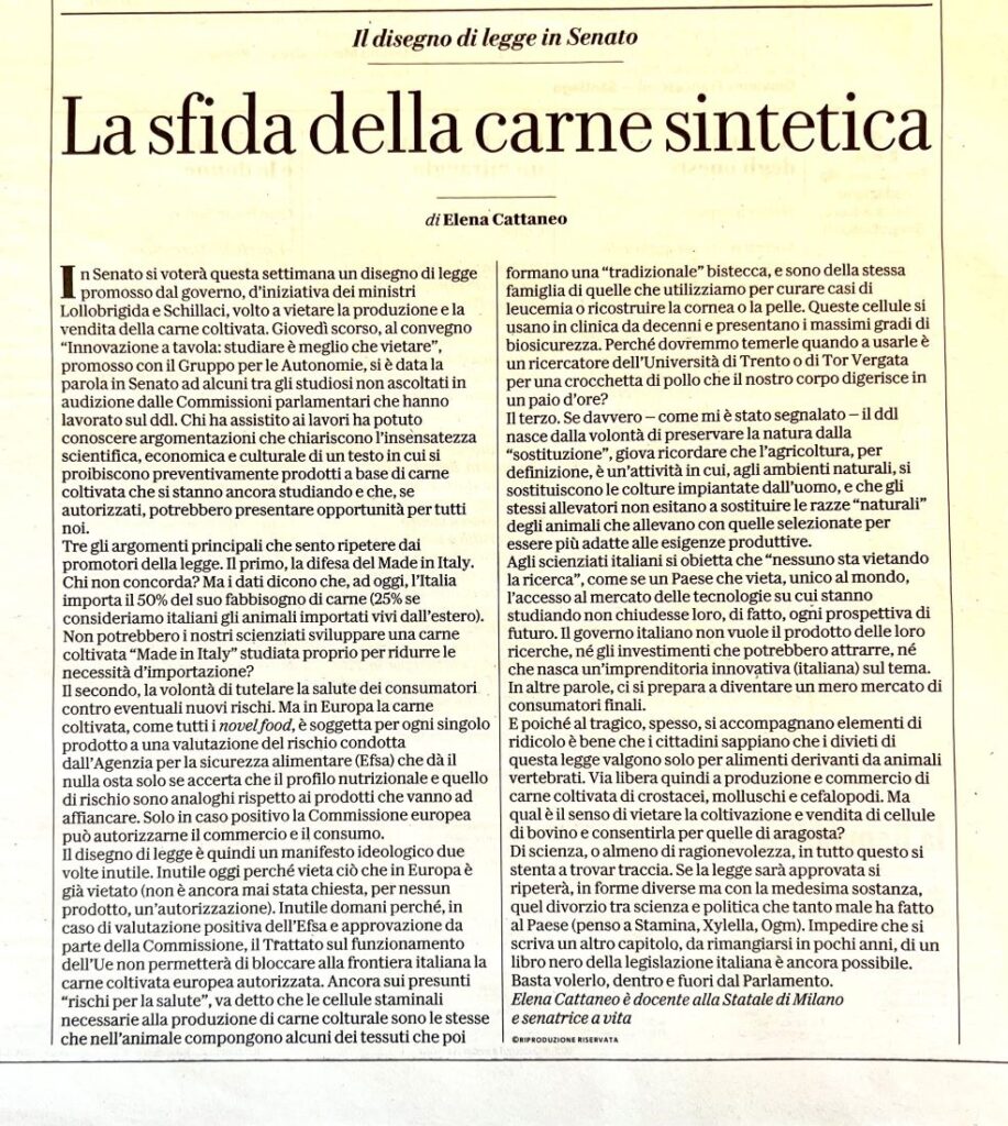 immagine2