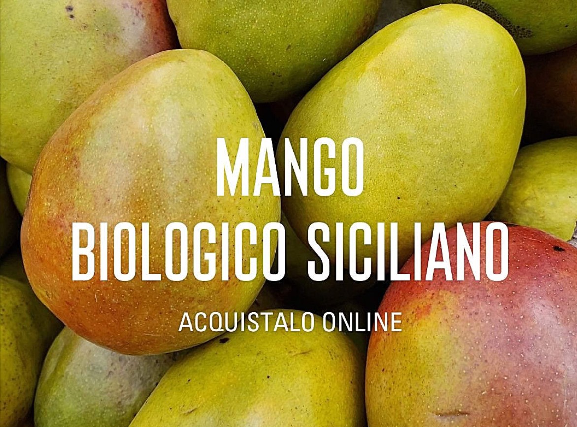 Mango siciliano bio cover