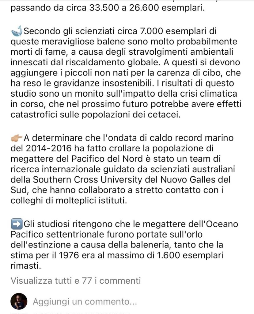 immagine2