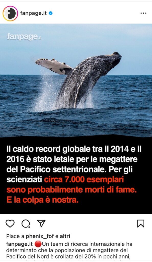 immagine1