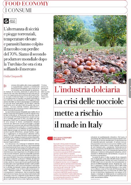 immagine1