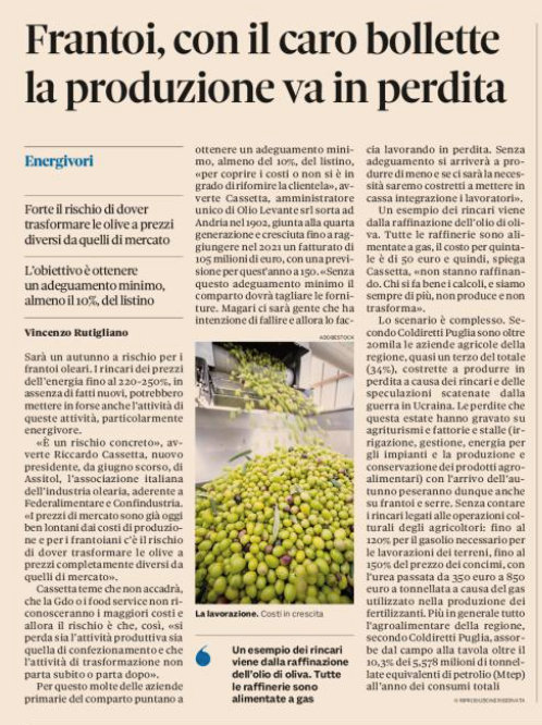 immagine1