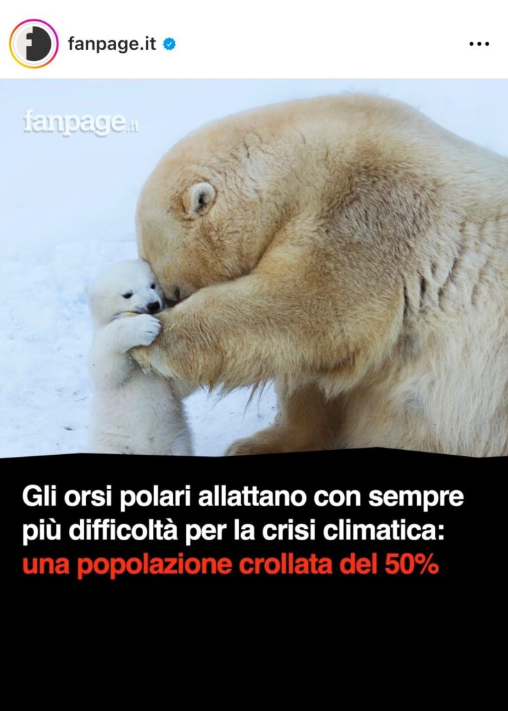 immagine1