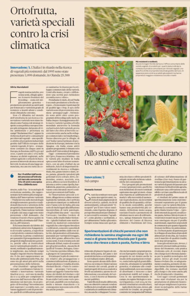 immagine1