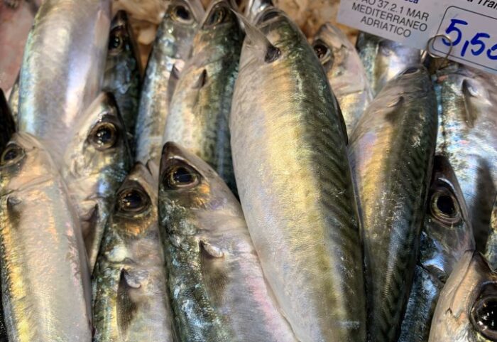Pesce Mediterraneo cover
