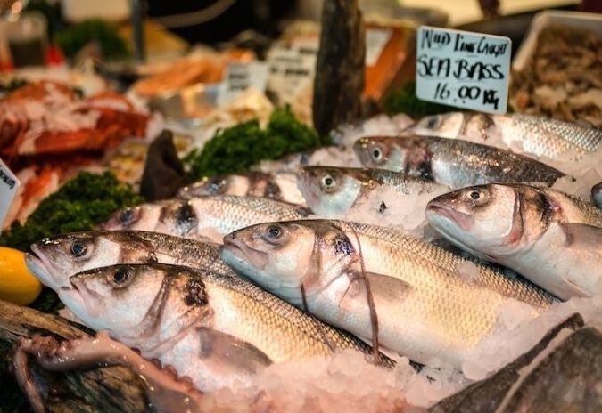 Pesce cover
