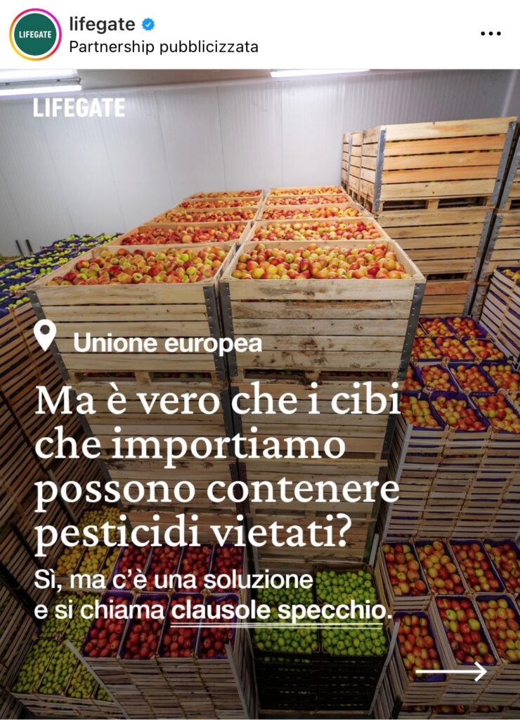 immagine1