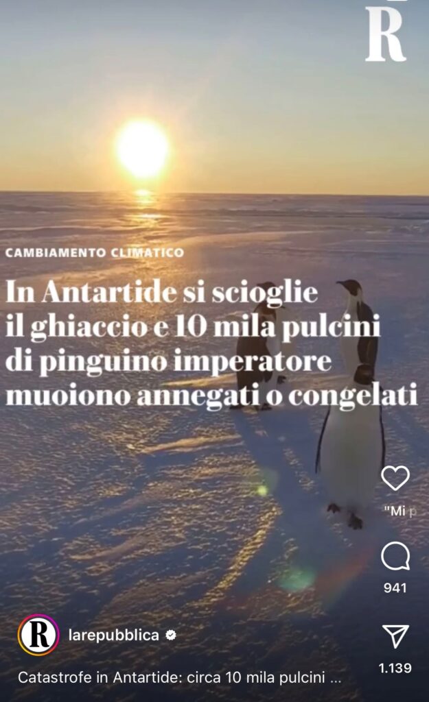 immagine1