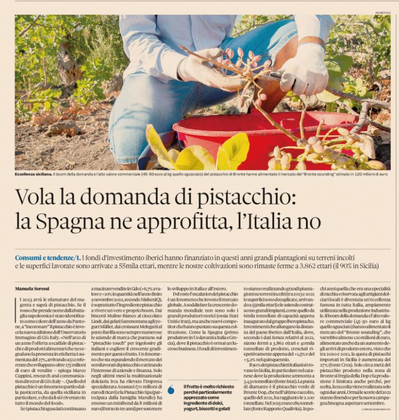 immagine1