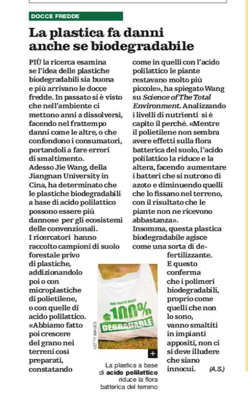 immagine1