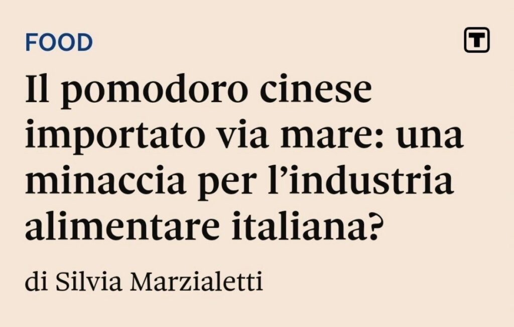 immagine1